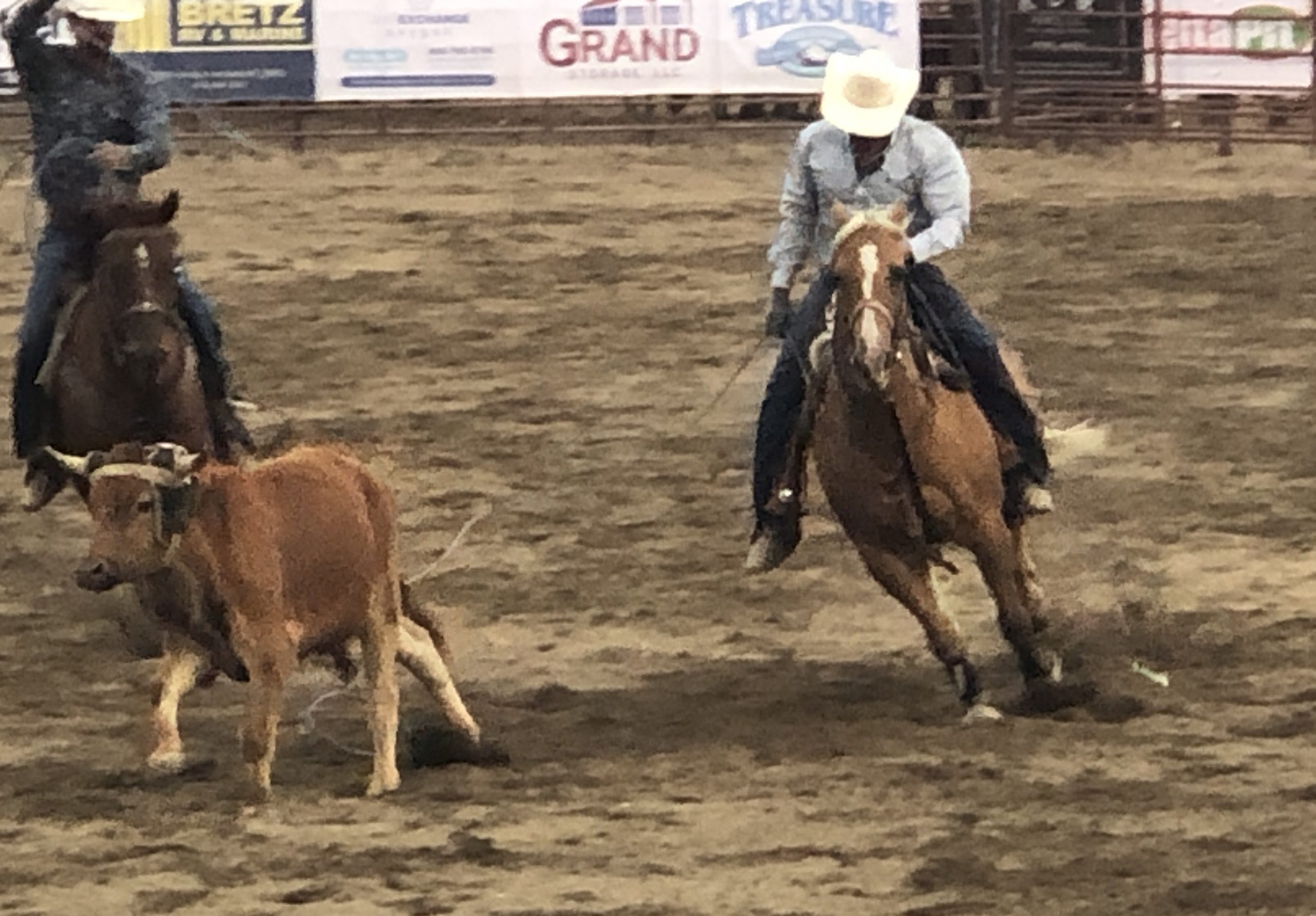 Butte Montana Rodeo